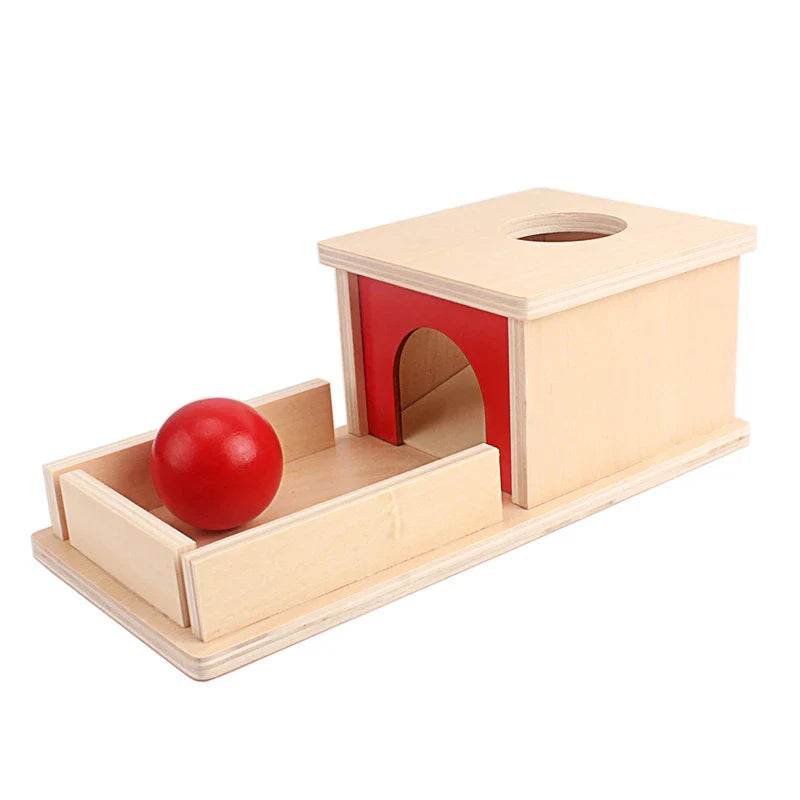 Jeu de Lâcher de Balle Montessori