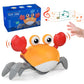 Crabe Musical Montessori