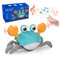 Crabe Musical Montessori